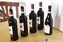 VBS_7368 - PressTour educational dedicato ai vini del Pinerolese e all’olio prodotto sulla collina di Pinerolo